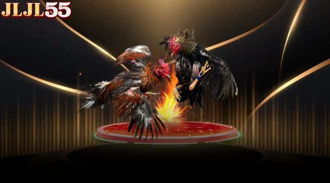 Explore the Sabong JLJL55 gaming hall